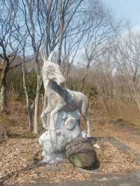八仙台