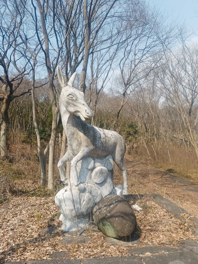 八仙台