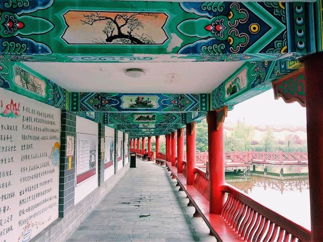 What To Do in Changsha When You have 10 Days Visa Free Transit?