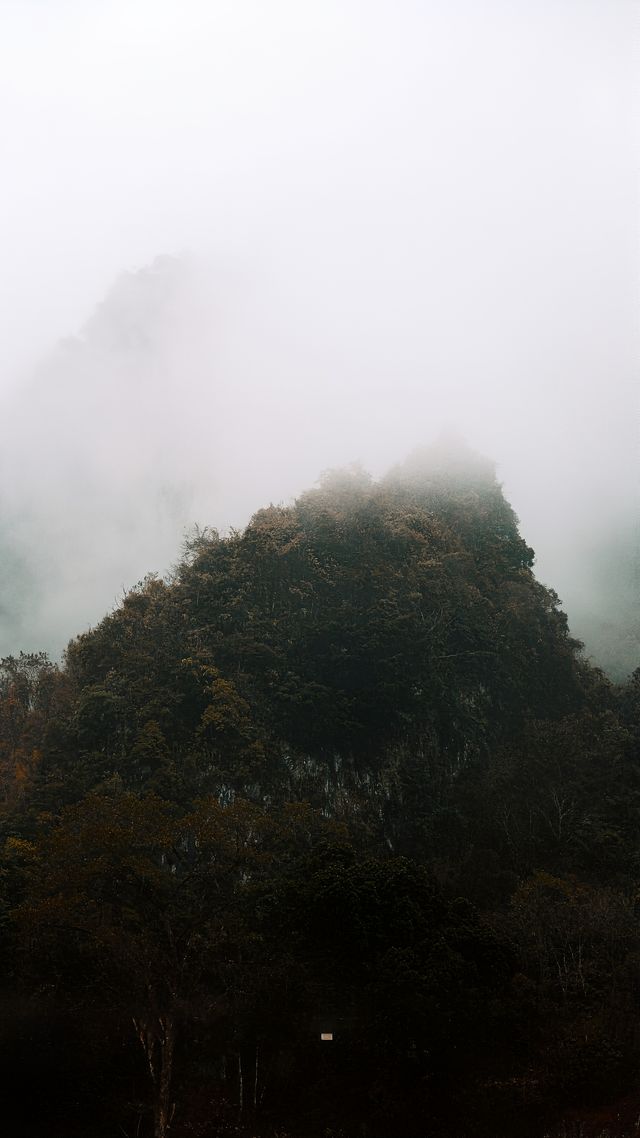 【人間仙境｜探秘世界級藍海秘境】