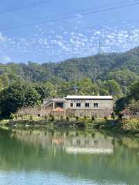 夢幻與歡樂的逐光旅程