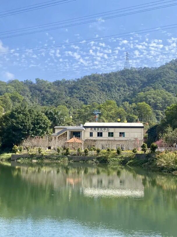 夢幻與歡樂的逐光旅程