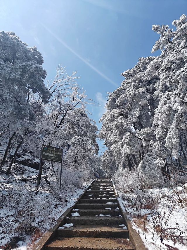 清明節小長假 廬山3天遊全攻略