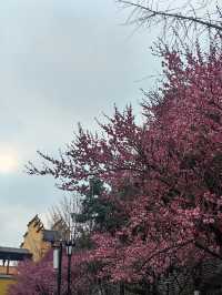 南京,一座沉澱著歷史的現代化都市