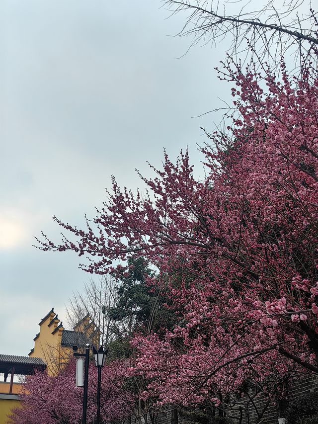 南京,一座沉澱著歷史的現代化都市 南京,一座沉澱著歷史的現代化都市