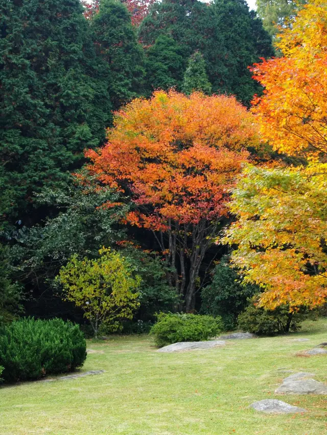 Qingming Spring Outing: A Travel Guide to Nanchang, Lushan, and Jingdezhen, Jiangxi