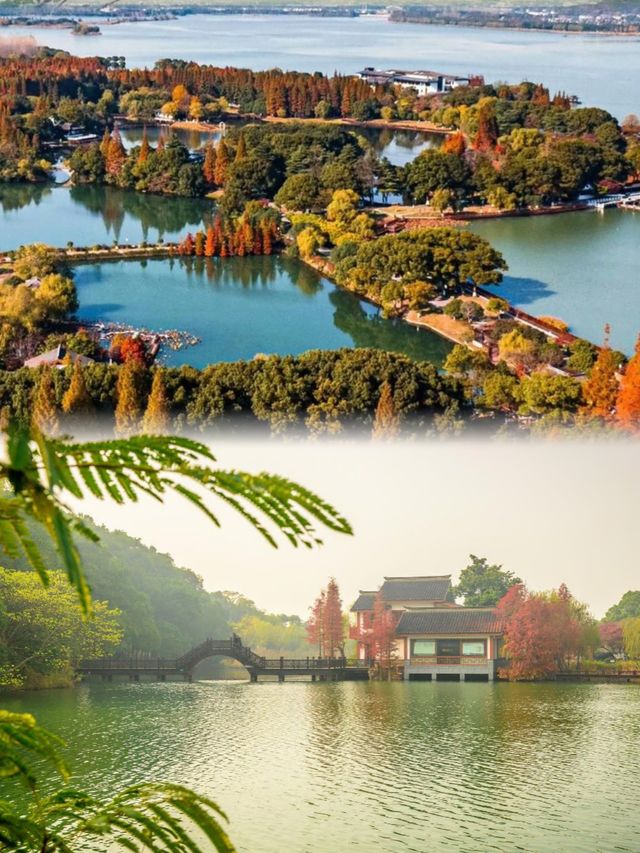 看遍婺源油菜花海燦爛，終於在此處邂逅金色童話
