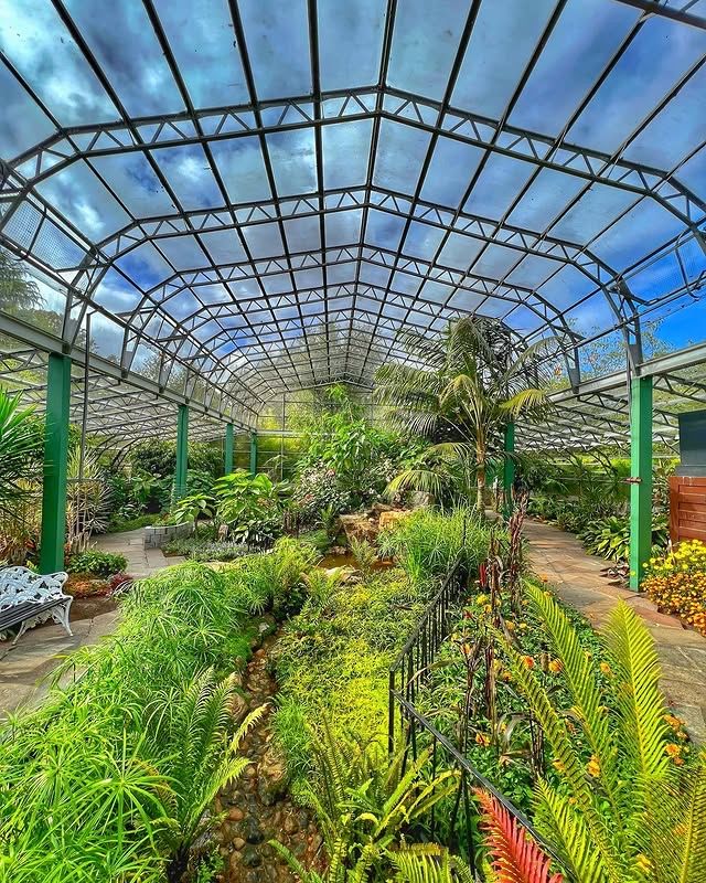 英國阿伯丁 | 戴西公園——城市中的寧靜綠洲