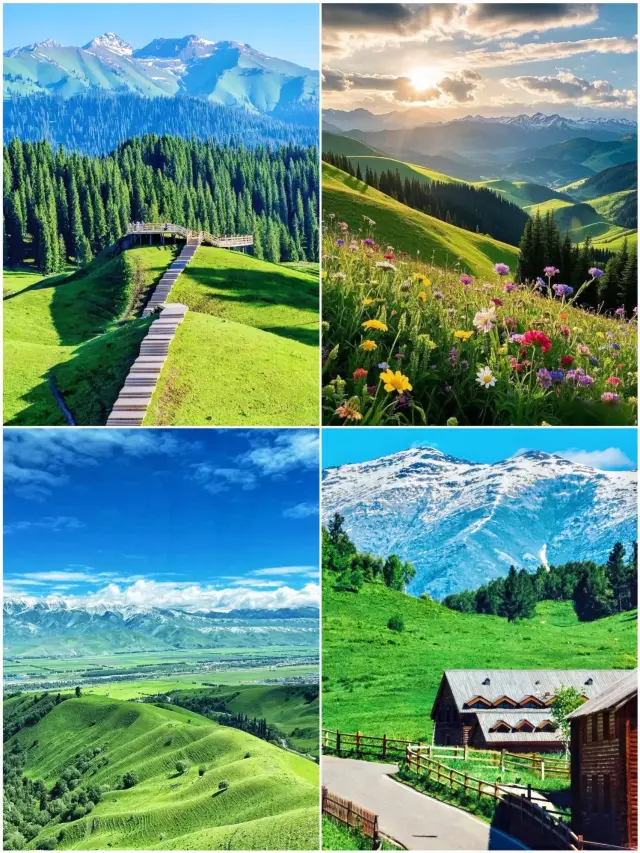 일리에서 수십 번 여행하며 정리한 초원 여행 가이드