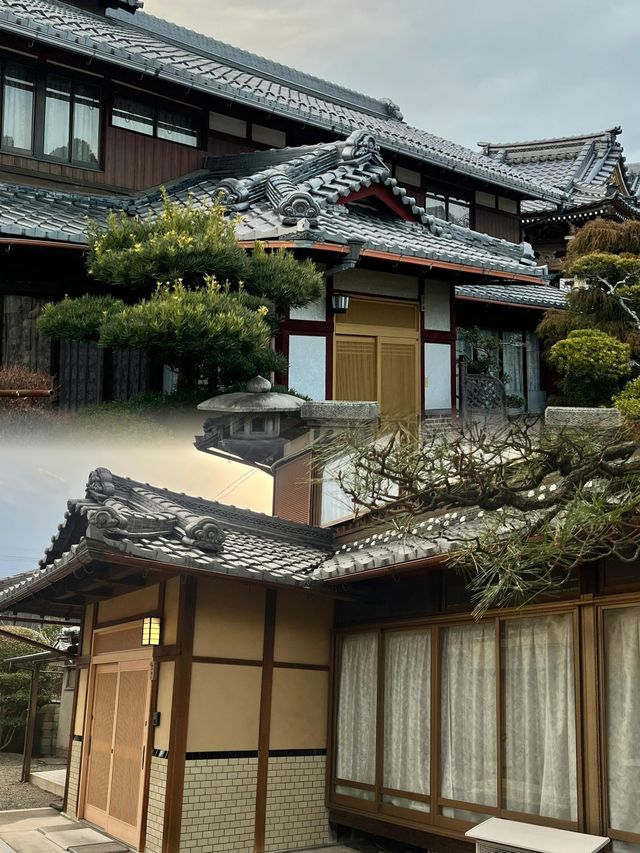 草津市溫泉之旅，解鎖日式治癒系新玩法！