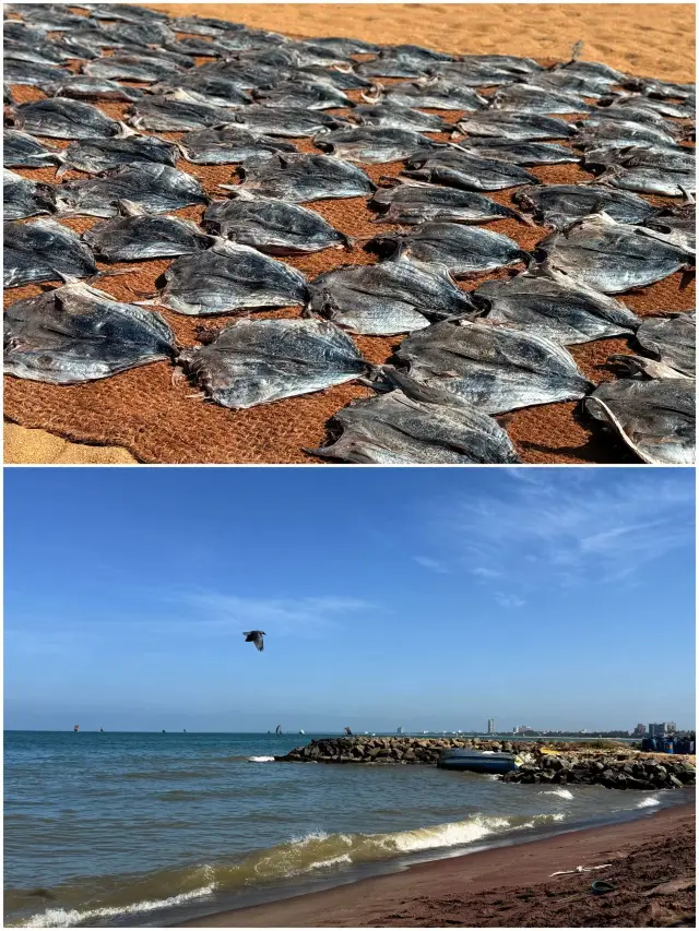 8-Day Visa-Free Tour of Sri Lanka: Explore the Island with Ease