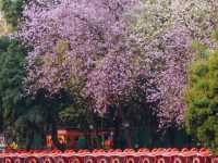 越秀公園，超級好玩的廣州城市綠洲✨