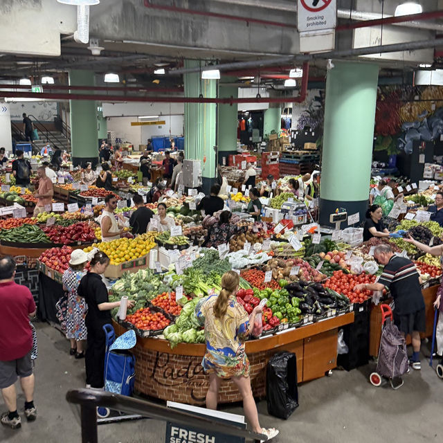 시드니 기념품 쇼핑은 여기서🇦🇺🛍️