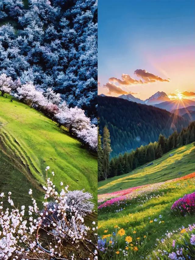 "Ili, a Love Letter from Xinjiang to the World"