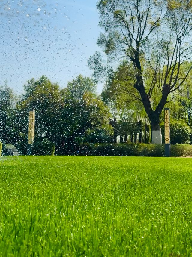 湘林溫德姆｜邵陽親子必住的獨一無二園林酒店