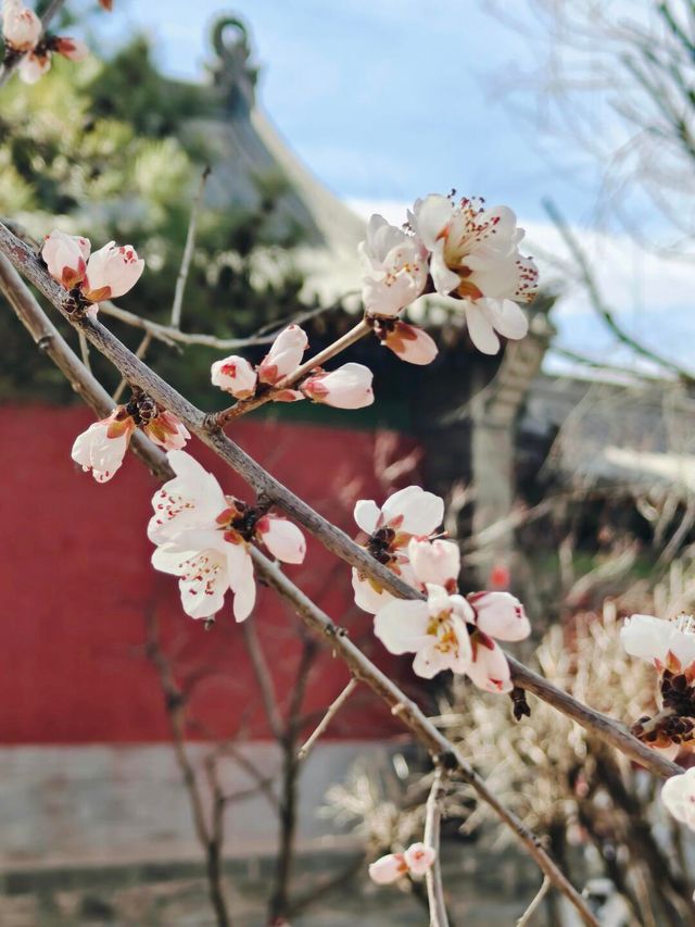 山西古城雄偉壯觀