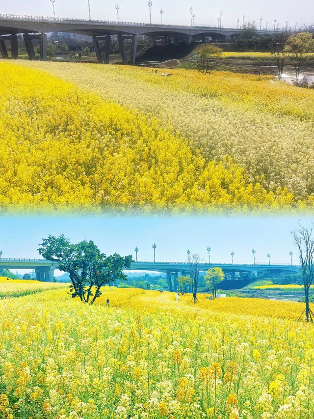 嚟樂山一定唔可以錯過呢度