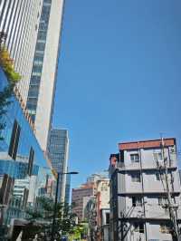汝矣島賞櫻攻略：漫步粉色花海的浪漫之旅