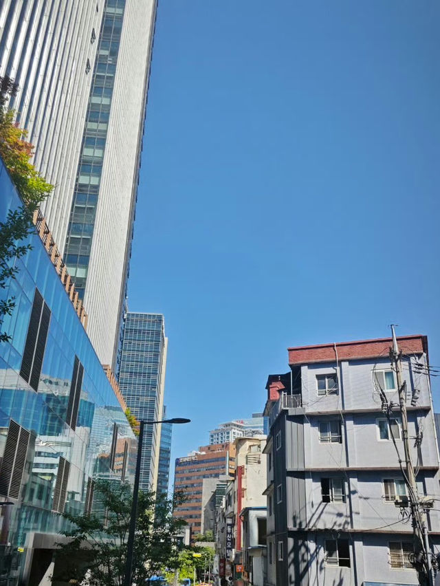 汝矣島賞櫻攻略：漫步粉色花海的浪漫之旅