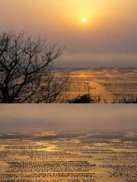 「山海奇觀」——枸杞島與嵊山島之旅