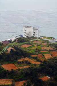 「山海奇觀」——枸杞島與嵊山島之旅