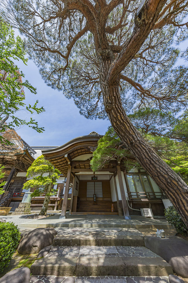 日本伊豆預計今年夏天會成為爆紅的旅遊熱點