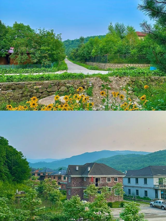 2025旅行結算 | 這一年我住過的7個歷史建築