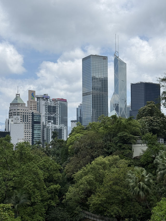 Central To Admiralty - Experience The Concrete Jungle Of Hong Kong 