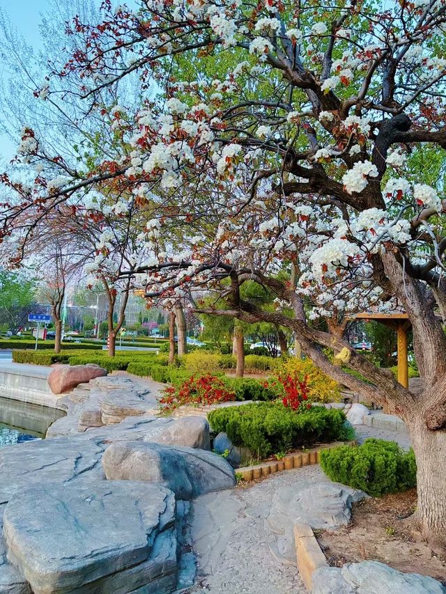 山東德州•一座美麗動人慢節奏的城市