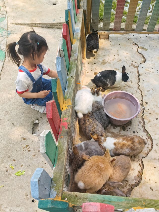 走嘅時候女女話，仲要再來呢間親子酒店