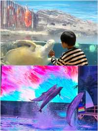 朋友圈問瘋了 在武漢找到了海底星空