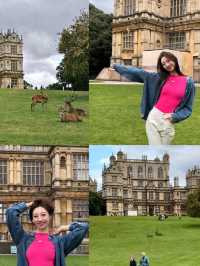 Wollaton Hall in Nottingham Gardens and Deer Park😍