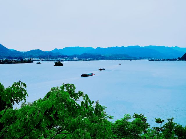 富春江畔星舟咖啡館！坐進森海看雲卷雲舒