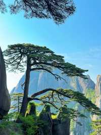 總要去趟黃山吧 真係靚到喊