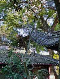 穿越600年打卡中國最古老嘅私家藏書樓