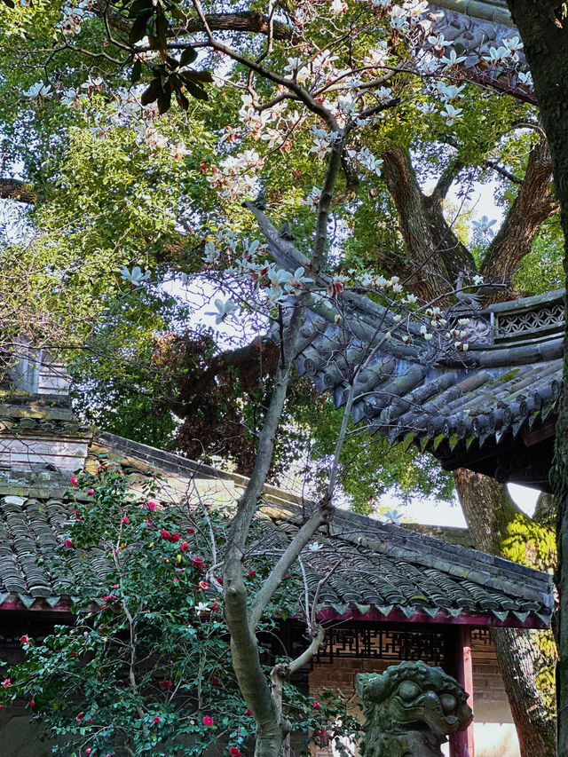 穿越600年打卡中國最古老嘅私家藏書樓