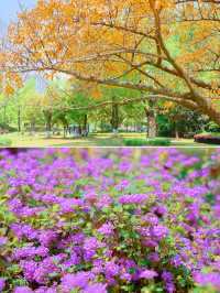 成都寶藏公園！湊仔吸氧兩不誤！