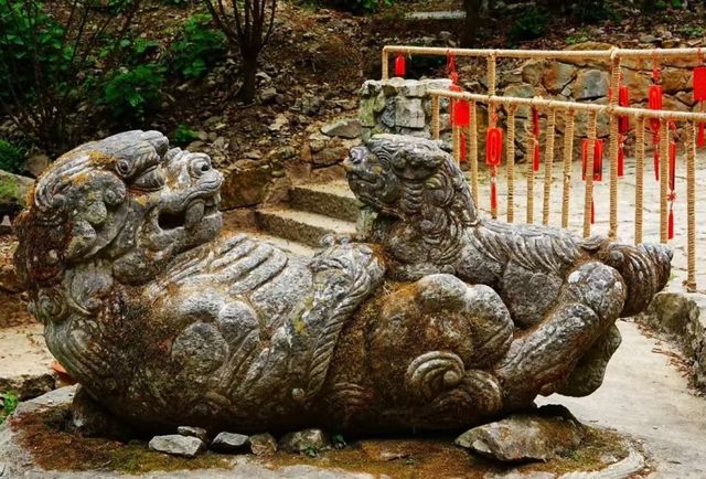 邂逅千獅山 | 石獅與山水的詩意之約