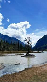 以下是一份四姑娘山旅遊攻略，希望能助你擁有一段美好的旅程。   前期準備   - 證件類：攜帶身份證