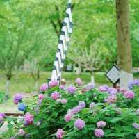 杭州必去！白塔公園隱藏版浪漫打卡地✨