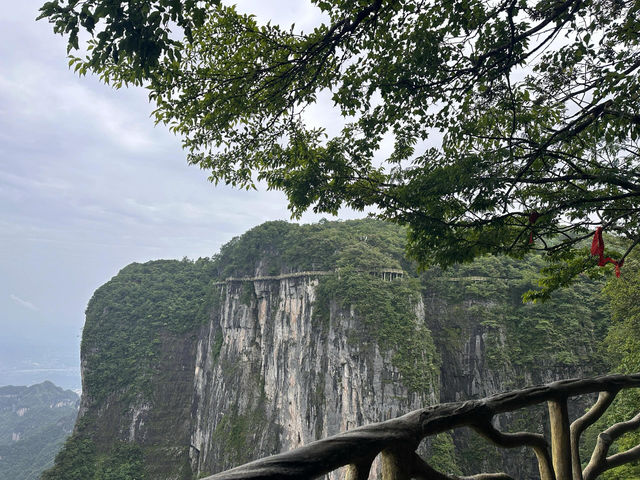 張家界探秘之旅：天門山與森林公園的極致體驗