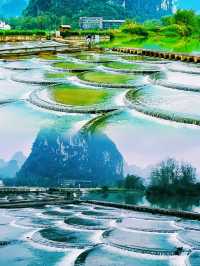 《明仕田園旅遊攻略：小桂林嘅田園慢生活》
