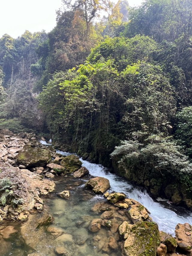 隱藏在西南邊陲的神秘峽谷，究竟係咩樣？