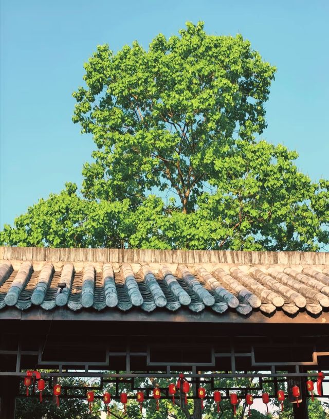 喺湖州出差嗰陣，我無意中發現咗一個寧靜嘅小村莊。