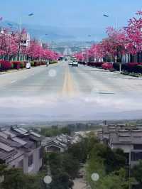 大理古城麓椿花園酒店，親子遊嘅溫馨之選