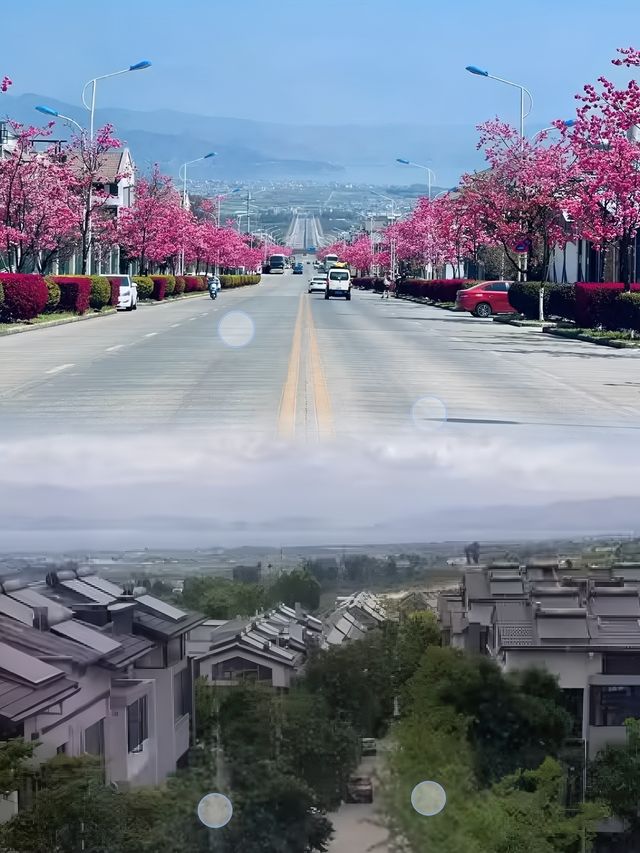 大理古城麓椿花園酒店，親子遊嘅溫馨之選