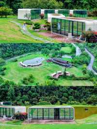 銅仁勇攀梵淨山奇峰，細味古村茶香慢