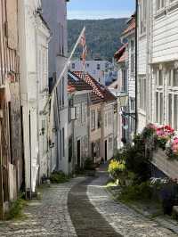 Bryggen, Fløyen, and Fjords: The Ultimate Bergen Experience 🇳🇴 🚢 
