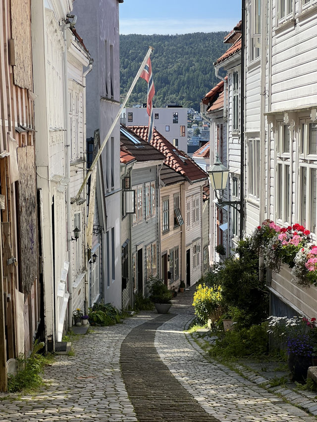 Bryggen, Fløyen, and Fjords: The Ultimate Bergen Experience 🇳🇴 🚢 