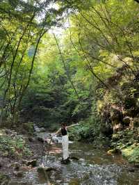 欒川重渡溝 主打一個冰鎮清涼｜洛陽周邊遊
